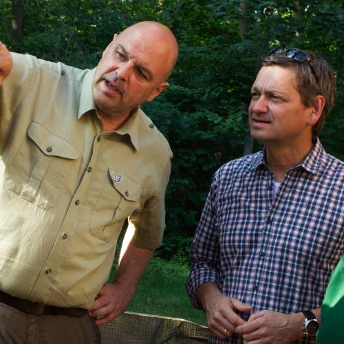 Baum mit Borkenkäferbefall / Revierleiter Lennebergwald und Christian Baldauf