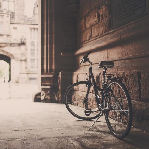 Fahrrad